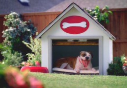 Overhead Door "Rise and Shine"
